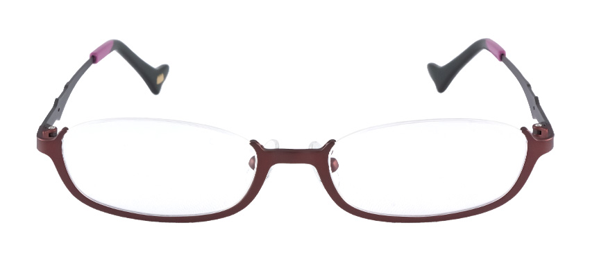 ビワハヤヒデモデル メタルフレーム