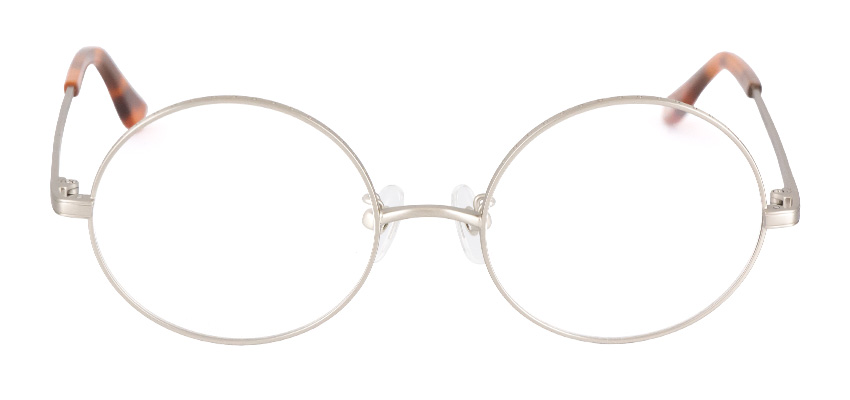 イクノディクタスモデル