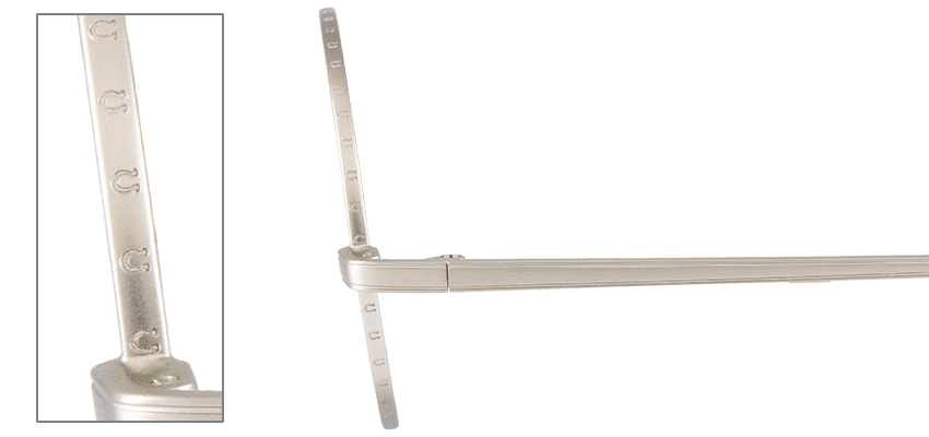 イクノディクタスモデル