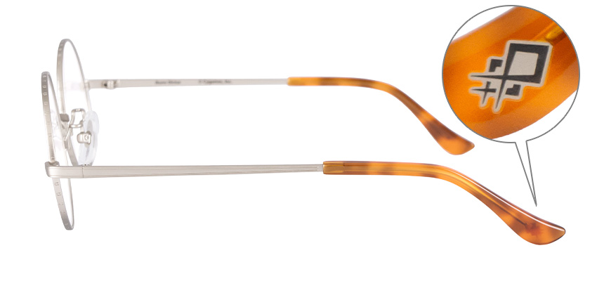 イクノディクタスモデル